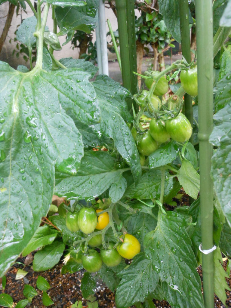 DSCN2128.JPG