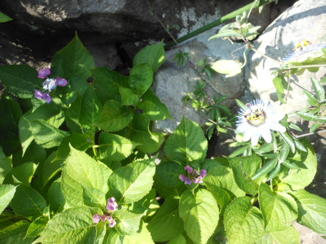 DSCN2210.JPG