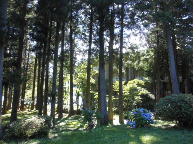 DSCN2619.JPG