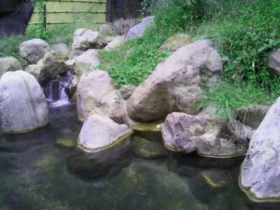 20121002_141303.jpg 20121002_141303.jpg