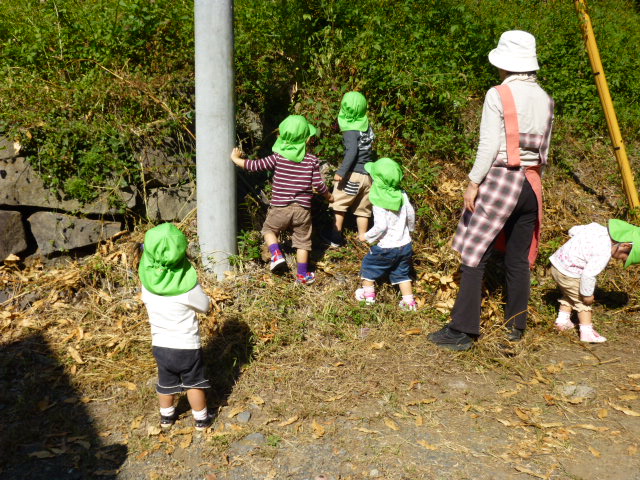 P1010093.JPG P1010093.JPG