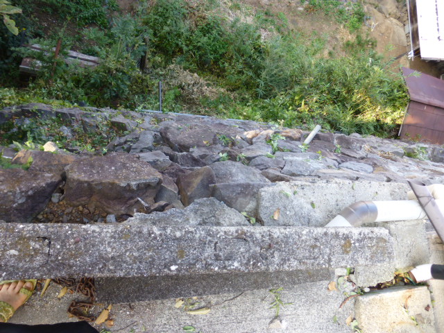 P1010067.JPG