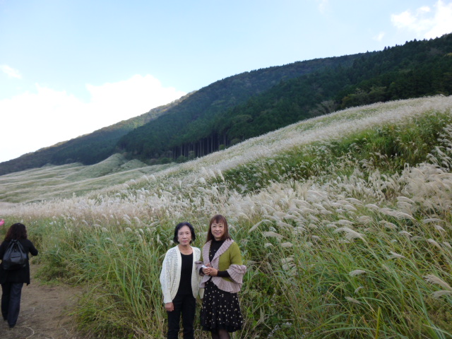 P1010151.JPG P1010151.JPG