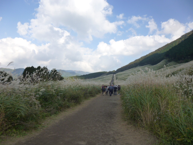 P1010148.JPG