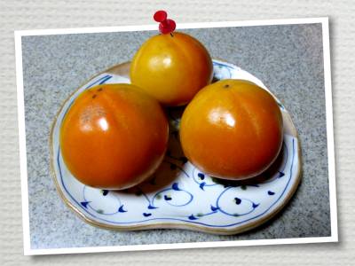 P1010168.JPG