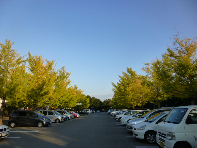 P1010195.JPG