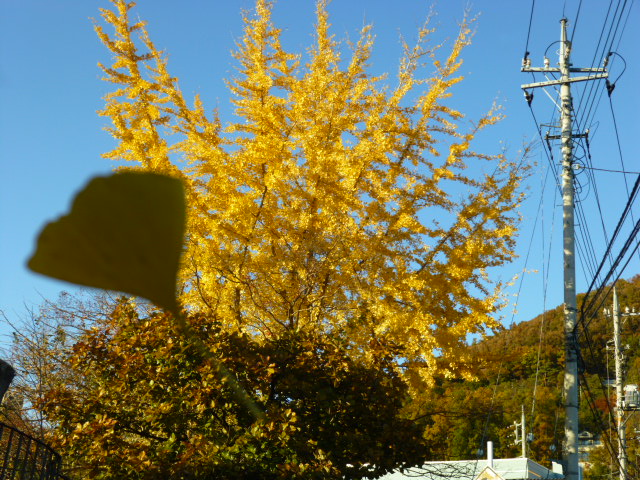 P1010324.JPG