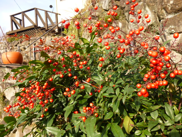 P1010326.JPG