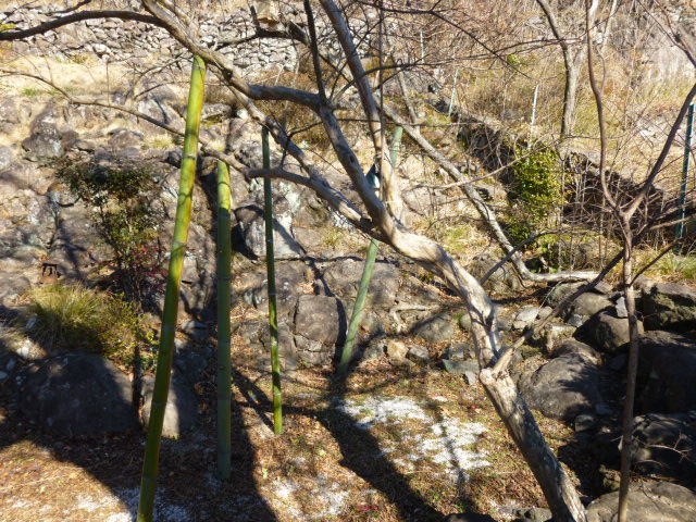 P1010932.JPG P1010932.JPG