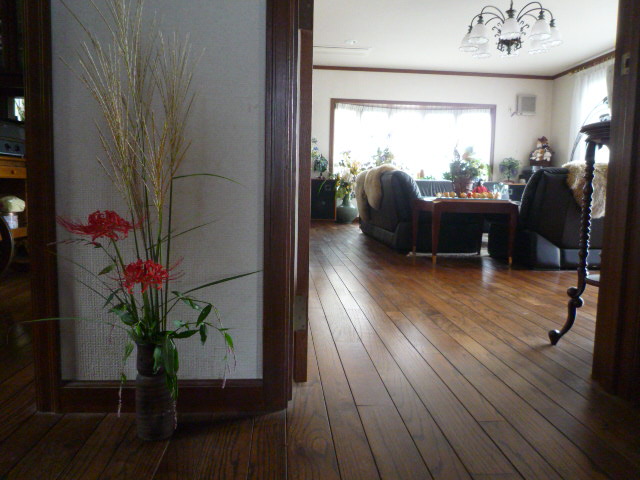 kako ͤH20.9.25.JPG