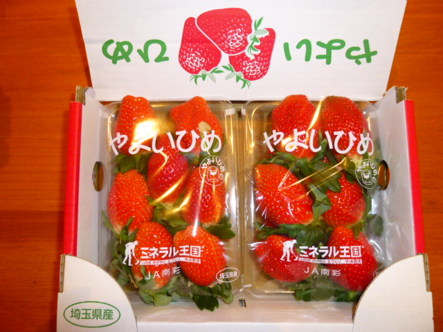P1040151.JPG