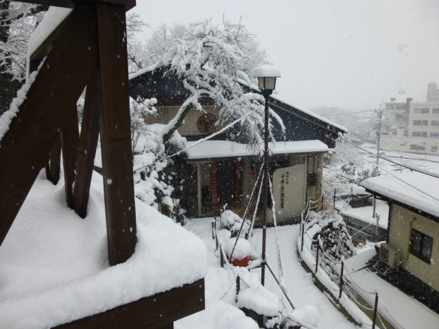 P1040422.JPG