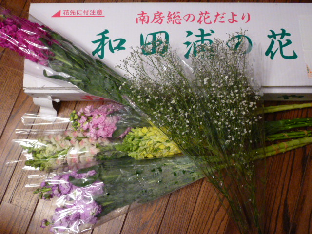 H26.3.3本田朗子様から.JPG H26.3.3本田朗子様から.JPG