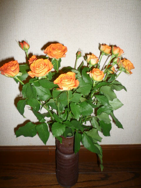 H20.11.15.JPG