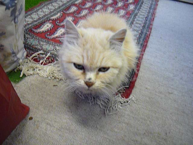 H.20.12.10.JPG
