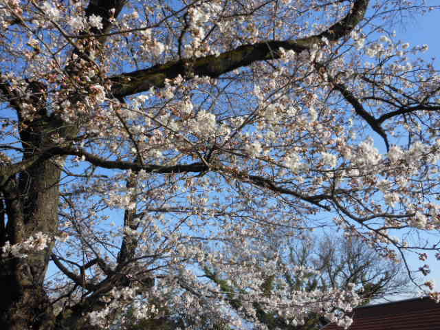 DSCN0117.JPG