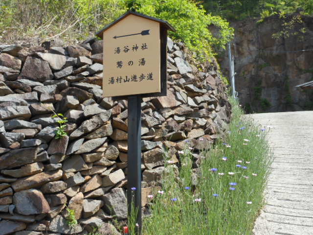 DSCN0251.JPG