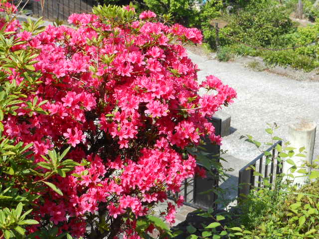 DSCN0249.JPG