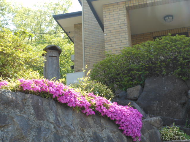 DSCN0250.JPG