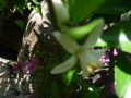 椺βH21.5.14.JPG