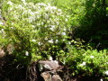 P1070110.JPG