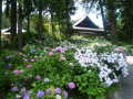 P1010367.JPG