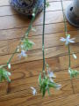 DSCN1353.JPG