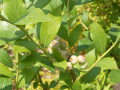 DSCN2156.JPG