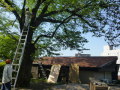 H.25.4.26(2)<br />
.JPG