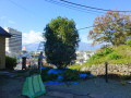 P1040054.JPG