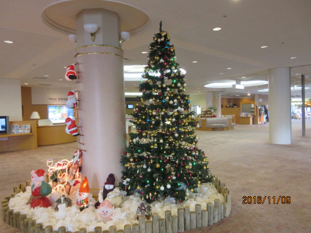 IMG_1433.JPG