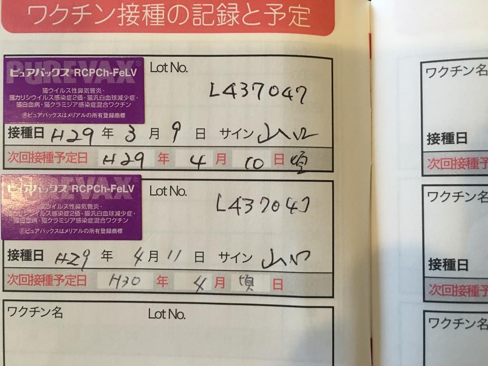 17884098_1011822212281899_6557384998853631102_n[1].jpg