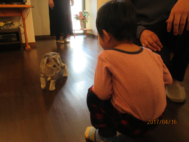 H29.4.16満咲ちゃまとルナちゃん.JPG H29.4.16満咲ちゃまとルナちゃん.JPG
