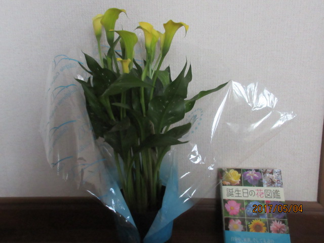 H29.5.4.JPG H29.5.4.JPG