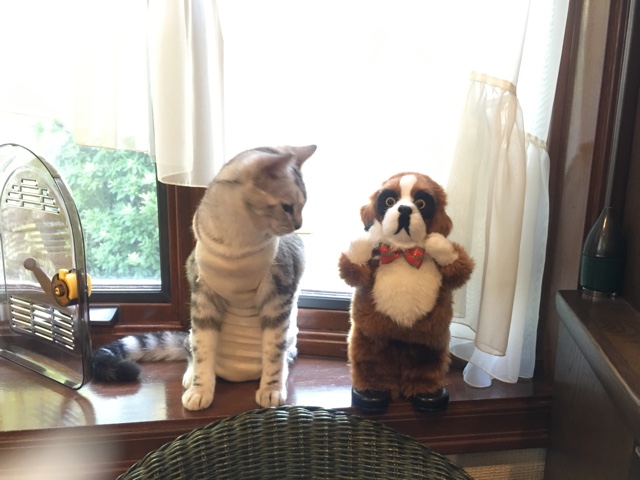 image.jpeg image.jpeg
