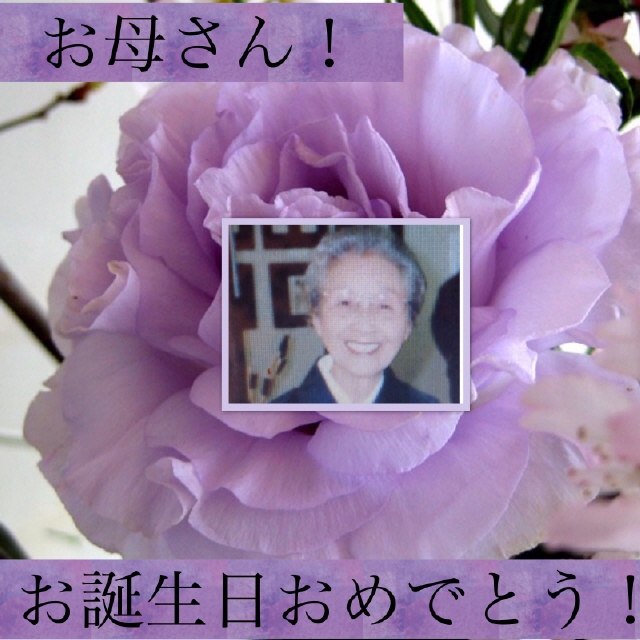 image.jpeg image.jpeg