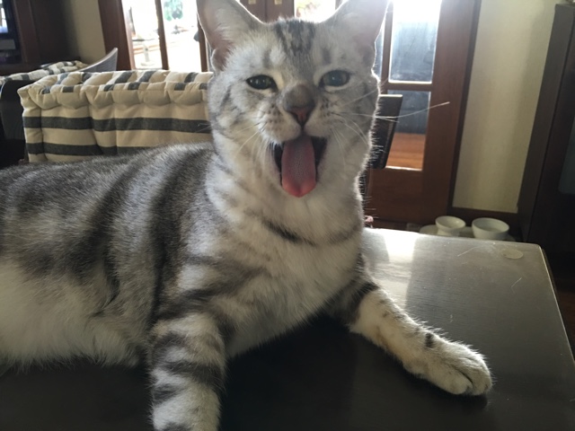 image.jpeg image.jpeg