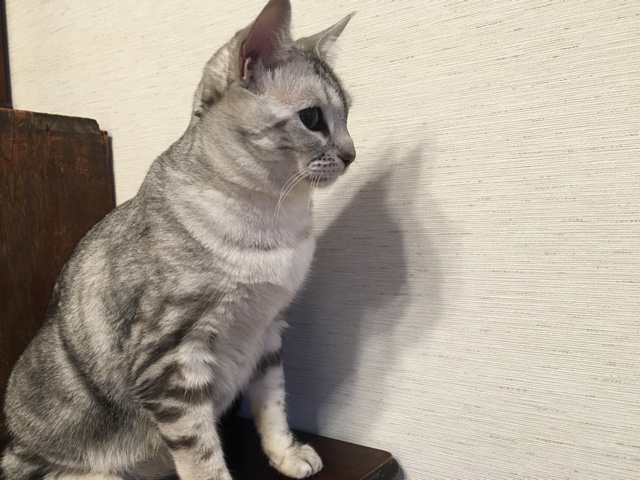 image.jpeg image.jpeg