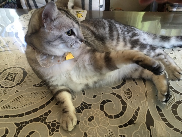 image.jpeg