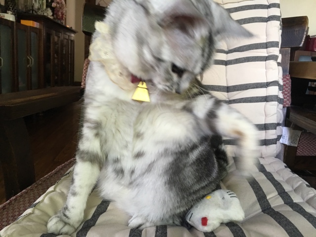 image.jpeg image.jpeg