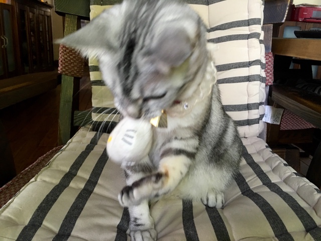 image.jpeg image.jpeg