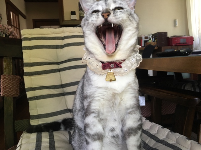 image.jpeg image.jpeg
