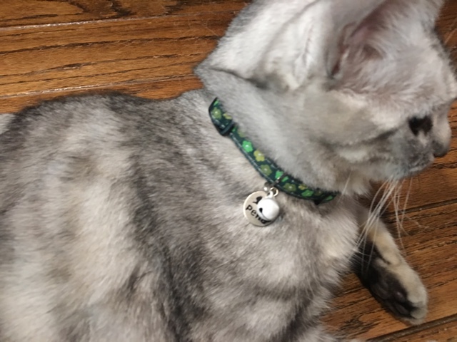image.jpeg image.jpeg