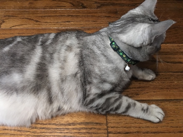 image.jpeg image.jpeg