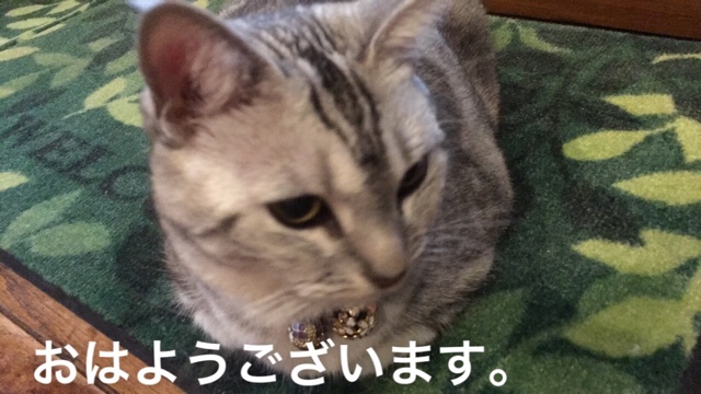 image.jpeg image.jpeg