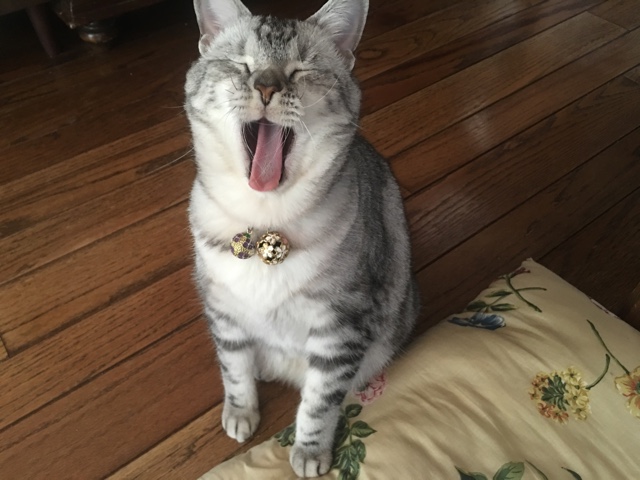 image.jpeg image.jpeg
