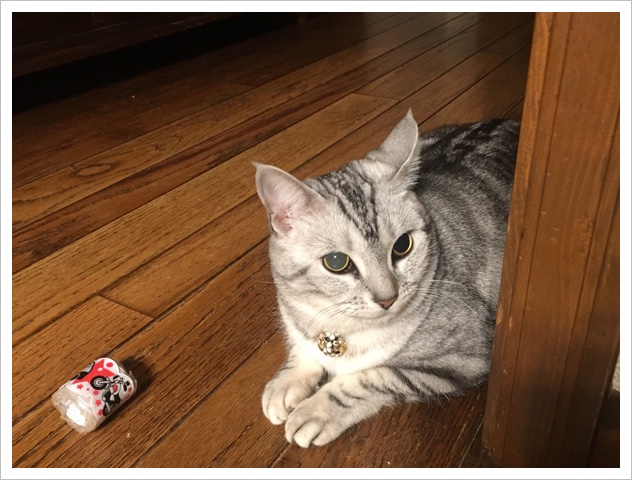 image.jpeg