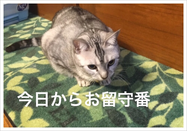 image.jpeg image.jpeg