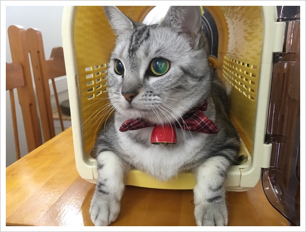 image.jpeg image.jpeg