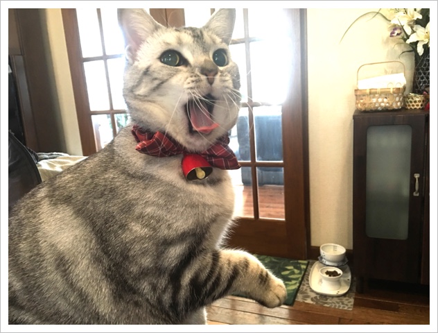 image.jpeg image.jpeg